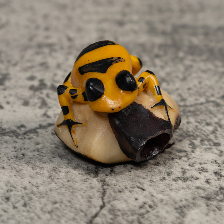 Gold And Black Poison Dart Frog Tagua Carving