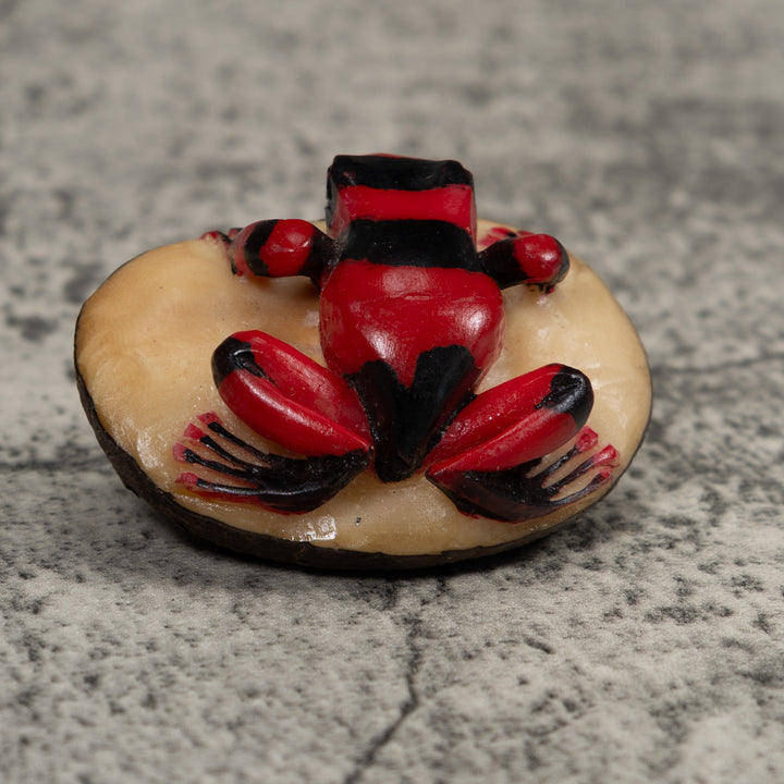 Poison Dart Frog Tagua Carving