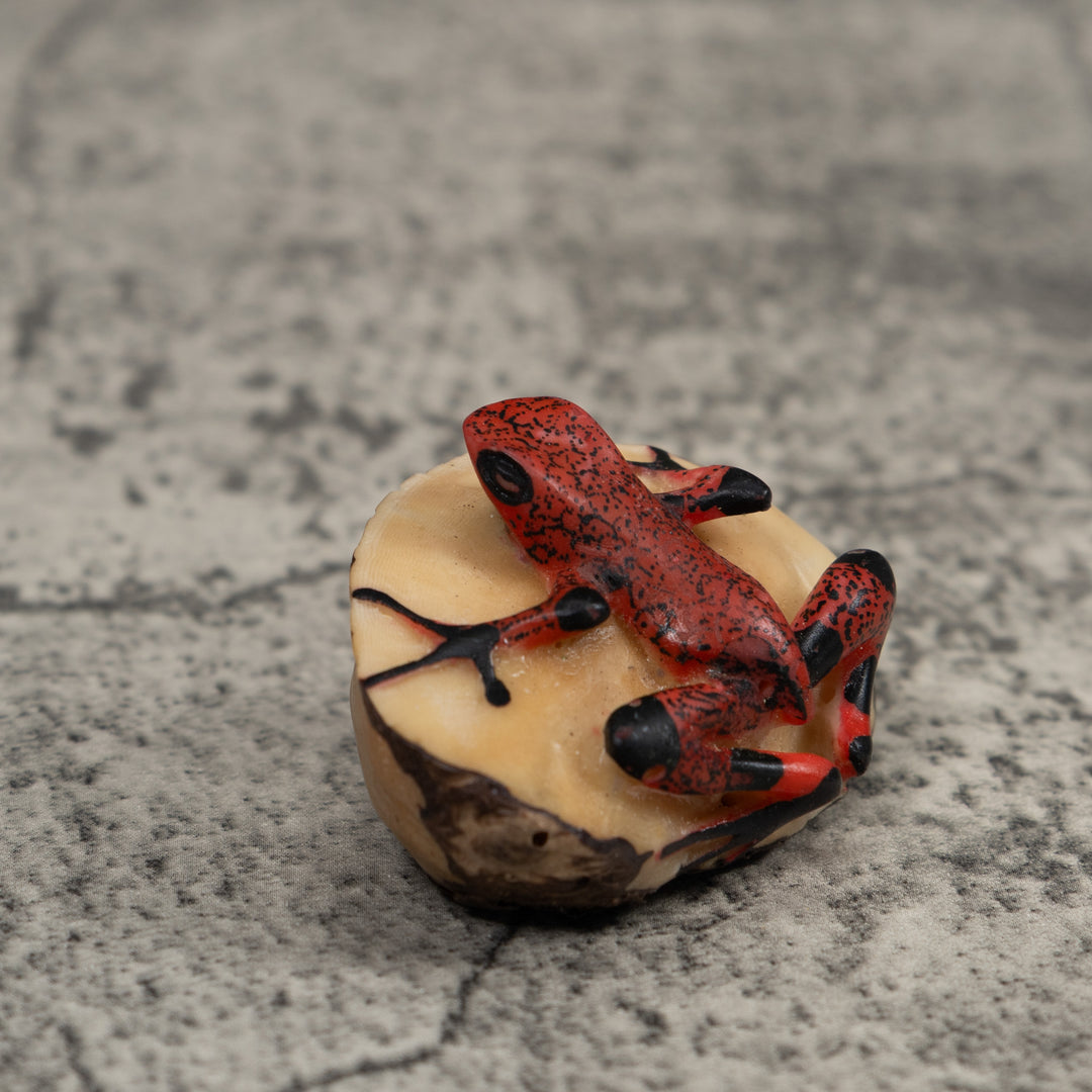 Black And Red Frog Tagua Carving
