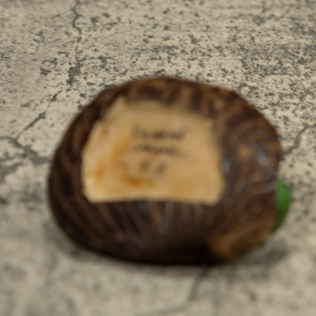 Gold And Black Tropical Frog Tagua Carving