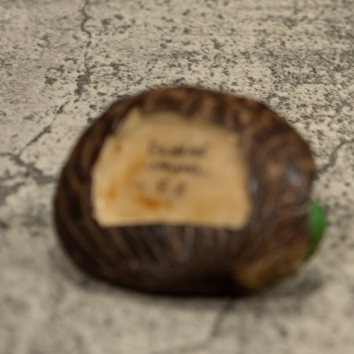 Gold And Black Tropical Frog Tagua Carving