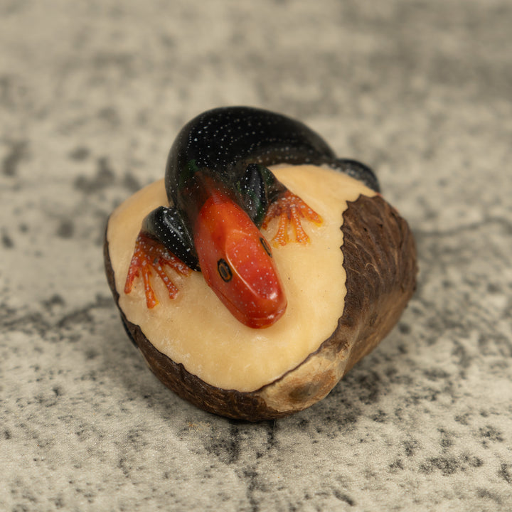 Redhead Black Gecko Lizard Tagua Carving