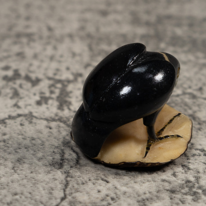Vintage Black And White Rainforest Bird Tagua Carving
