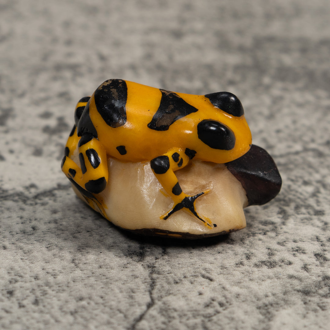 Gold And Black Poison Dart Frog Tagua Carving