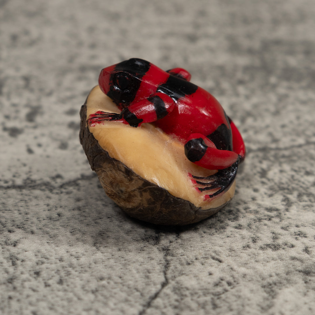 Poison Dart Frog Tagua Carving