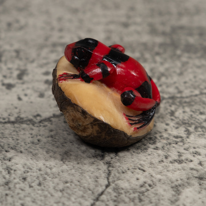 Poison Dart Frog Tagua Carving