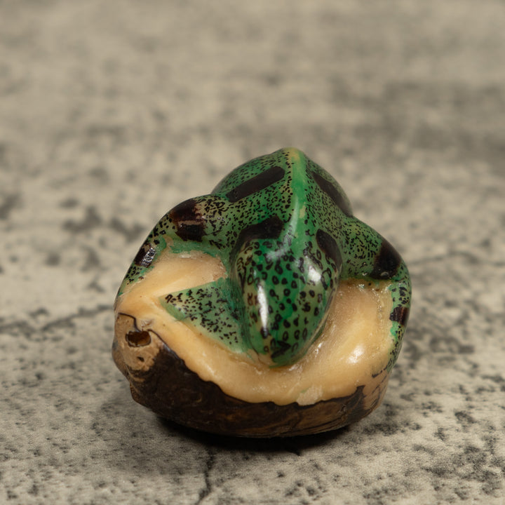 Vintage Iguana Lizard Reptile Tagua Carving