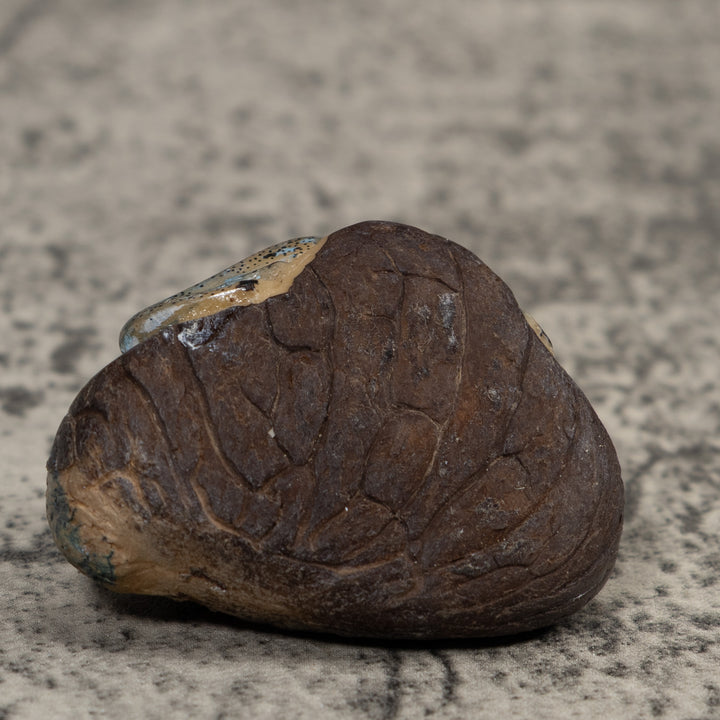 Vintage Blue Frog Tagua Carving