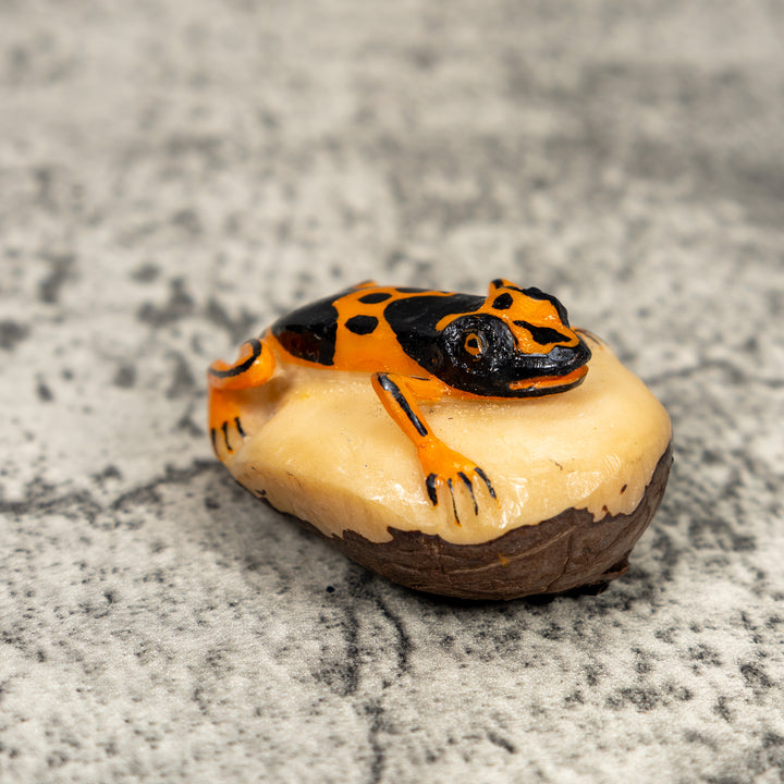 Orange And Black Poison Dart Frog Tagua Carving