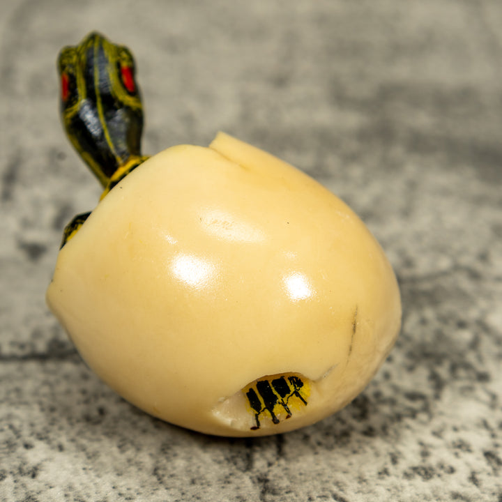 Tortoise Turtle Emerging From Egg Tagua Carving