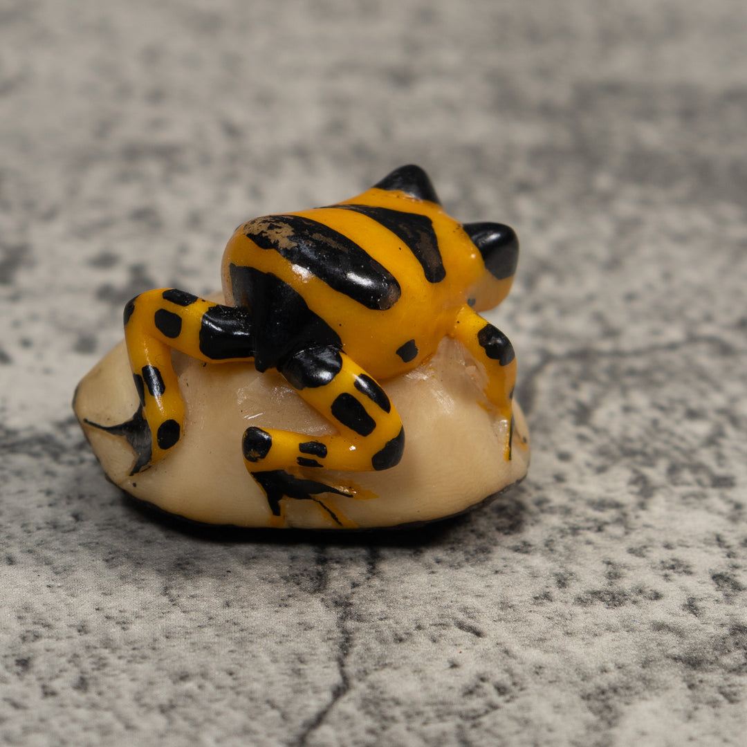 Gold And Black Poison Dart Frog Tagua Carving