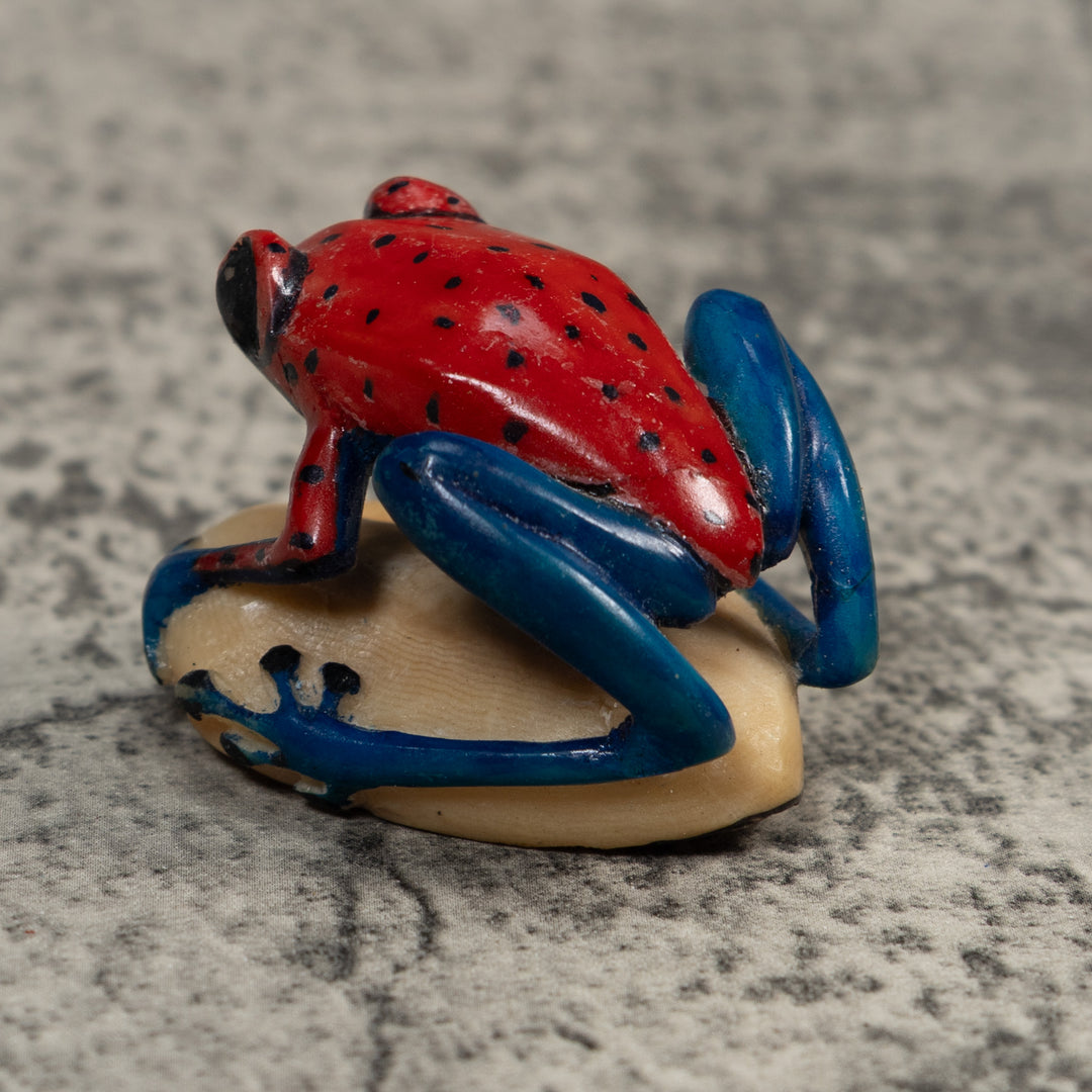 Red And Blue Undercut Poison Dart Frog Tagua Carving