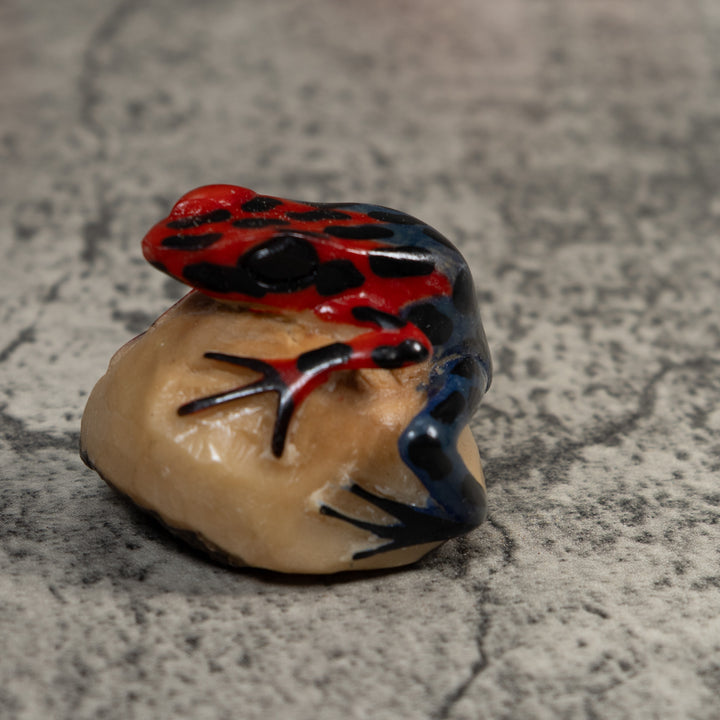 Vintage Red And Blue Poison Dart Frog Tagua Carving