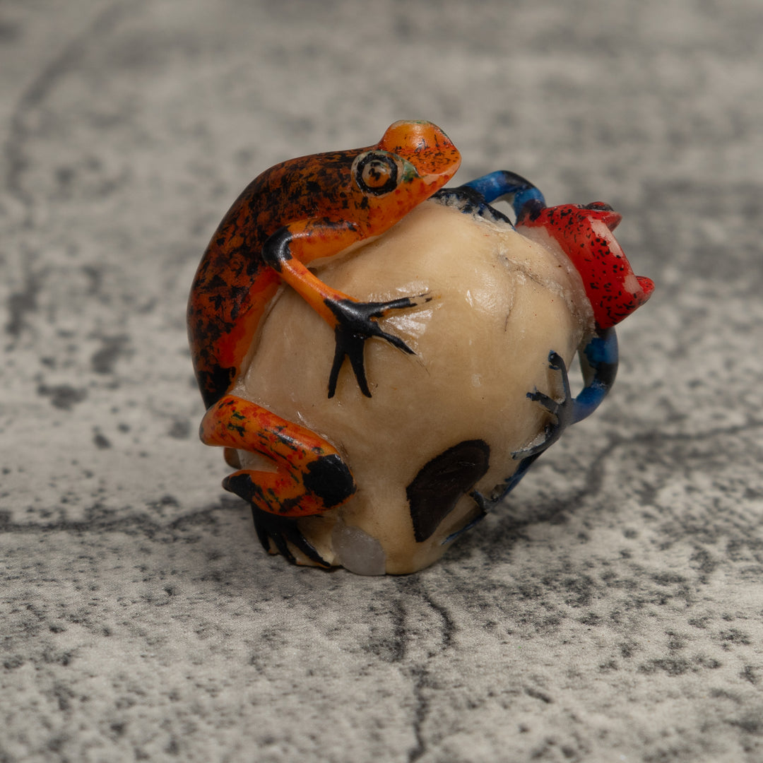 Double Poison Dart Frog Tagua Carving