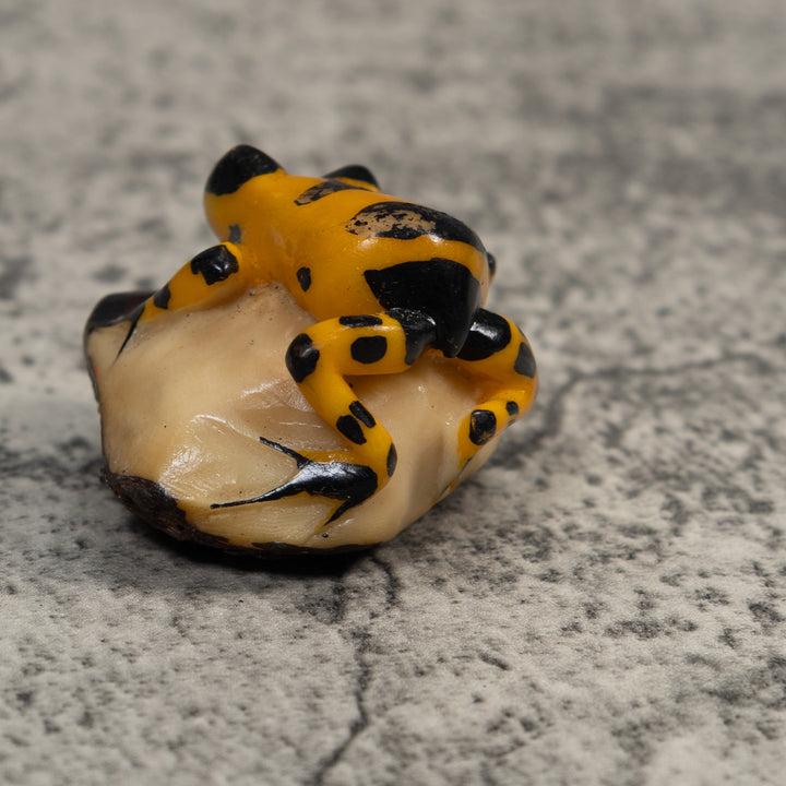 Gold And Black Poison Dart Frog Tagua Carving