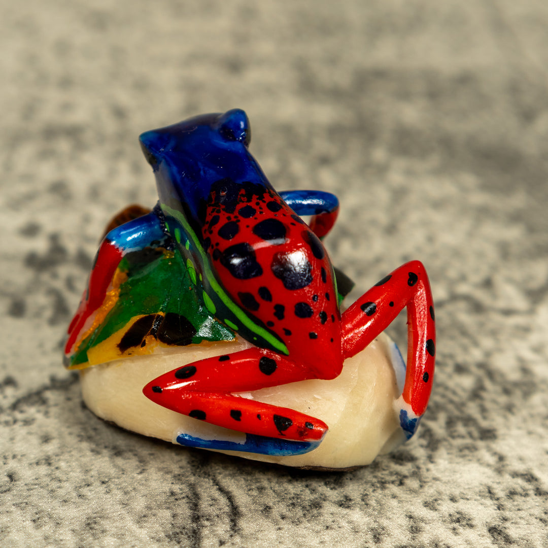 Red Blue And Green Poison Dart Frog Tagua Carving