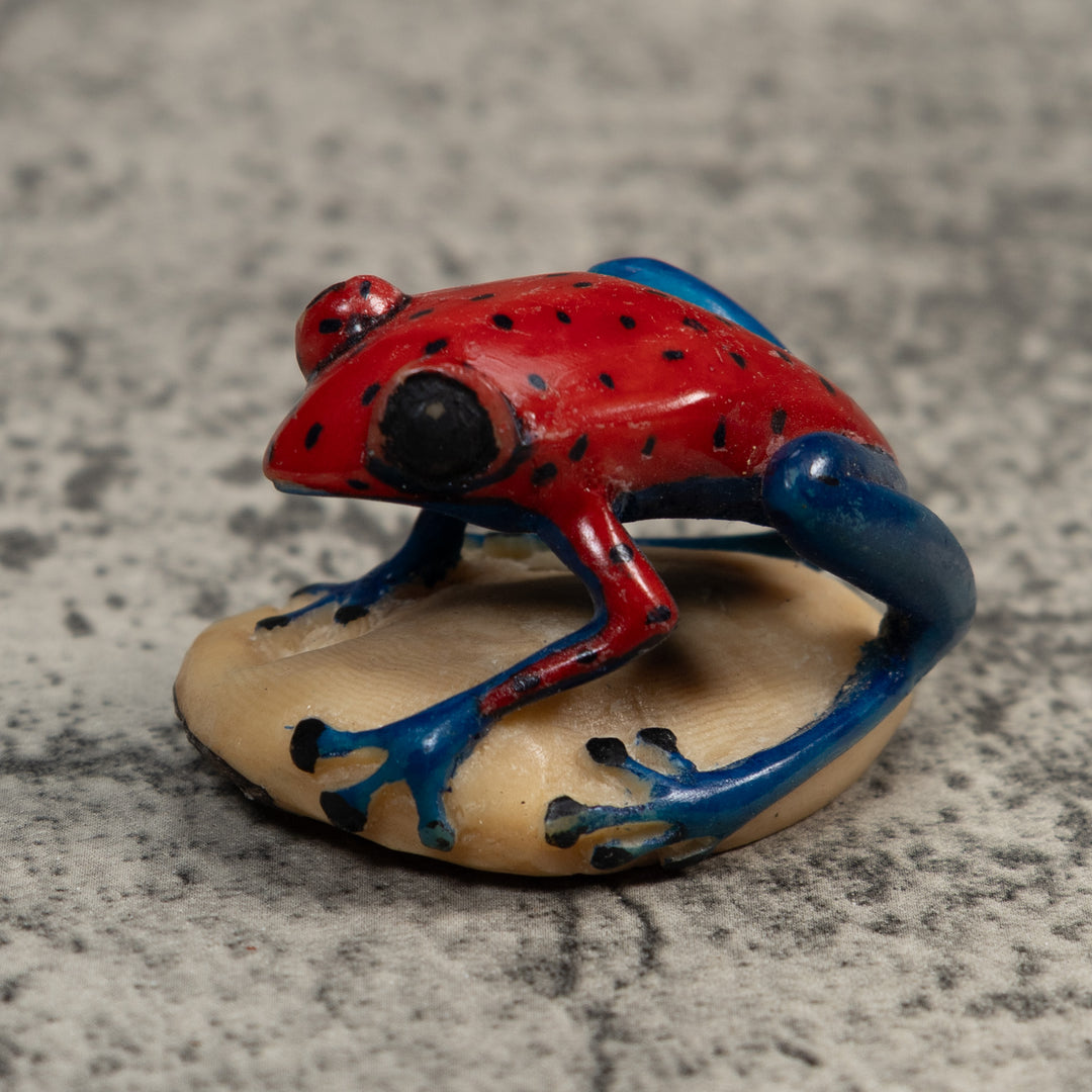 Red And Blue Undercut Poison Dart Frog Tagua Carving