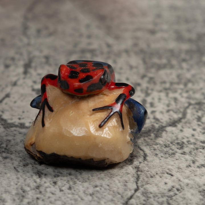 Vintage Red And Blue Poison Dart Frog Tagua Carving