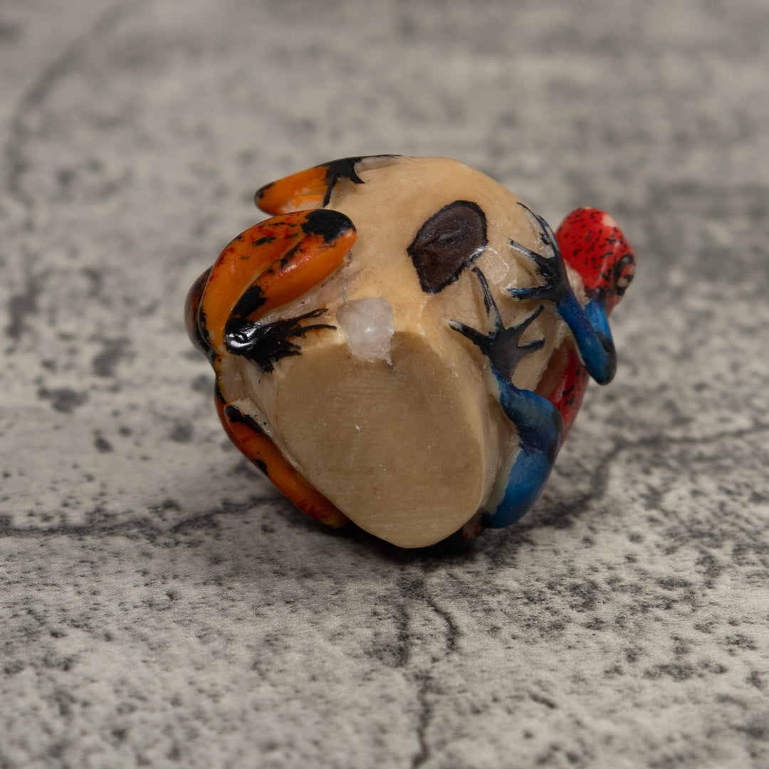 Double Poison Dart Frog Tagua Carving