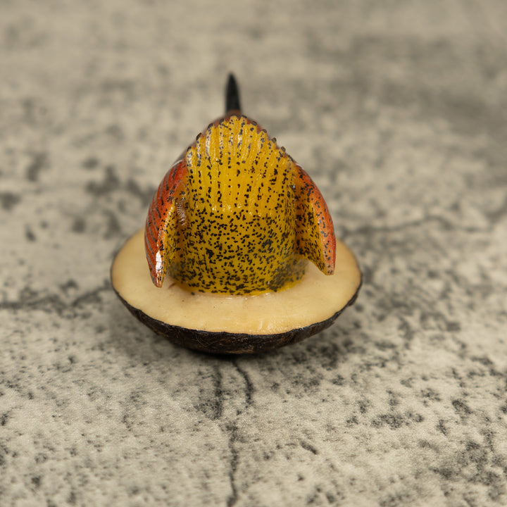 Seed Eater Bird Tagua Carving