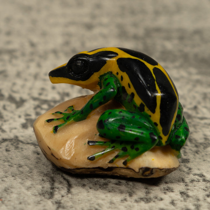 Poison Dart Frog Tagua Carving