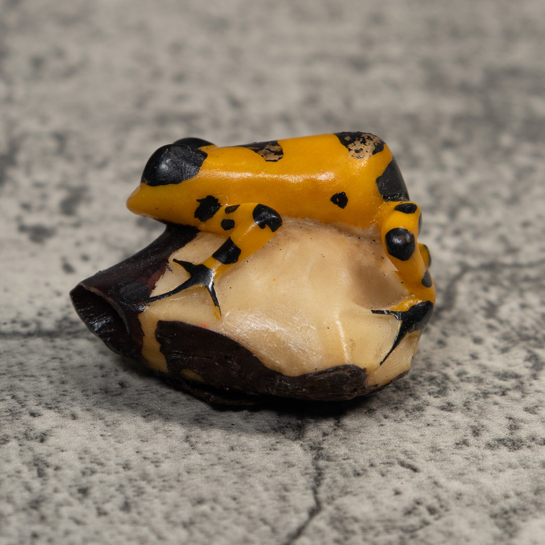 Gold And Black Poison Dart Frog Tagua Carving