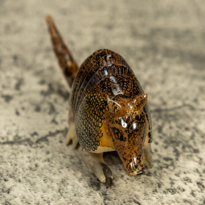 Vintage Armadillo Tagua Carving
