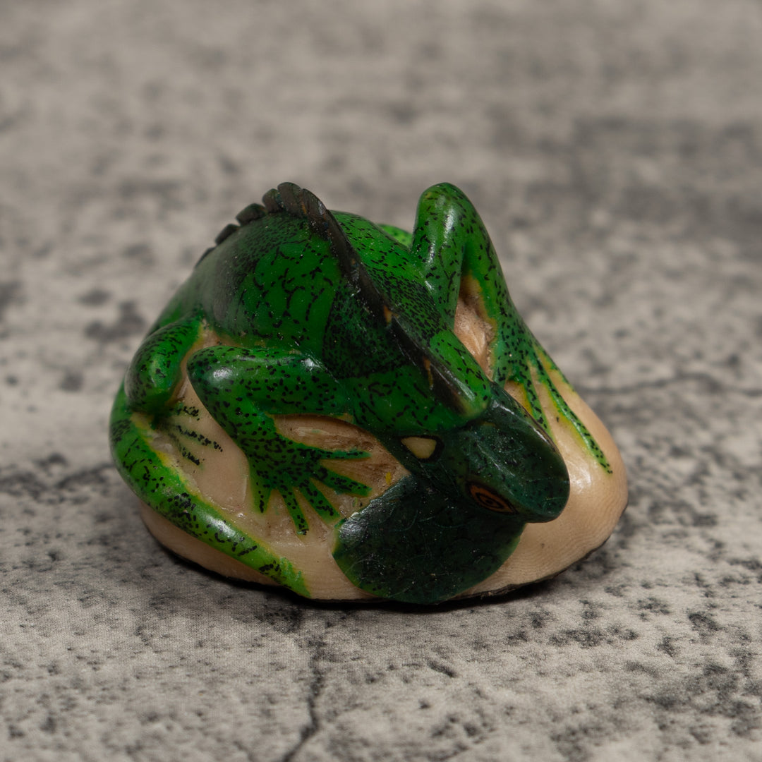 Iguana Lizard Reptile Tagua Carving