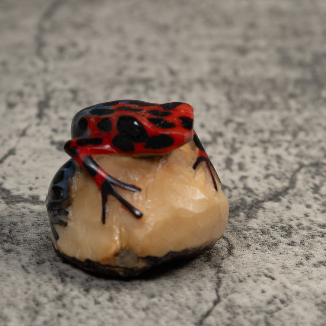Vintage Red And Blue Poison Dart Frog Tagua Carving