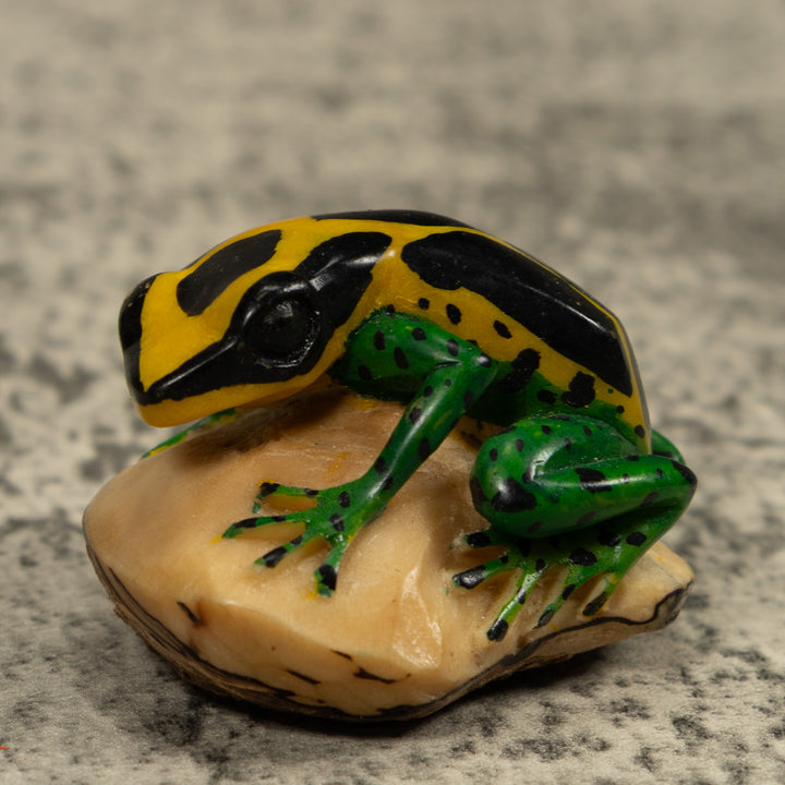 Poison Dart Frog Tagua Carving