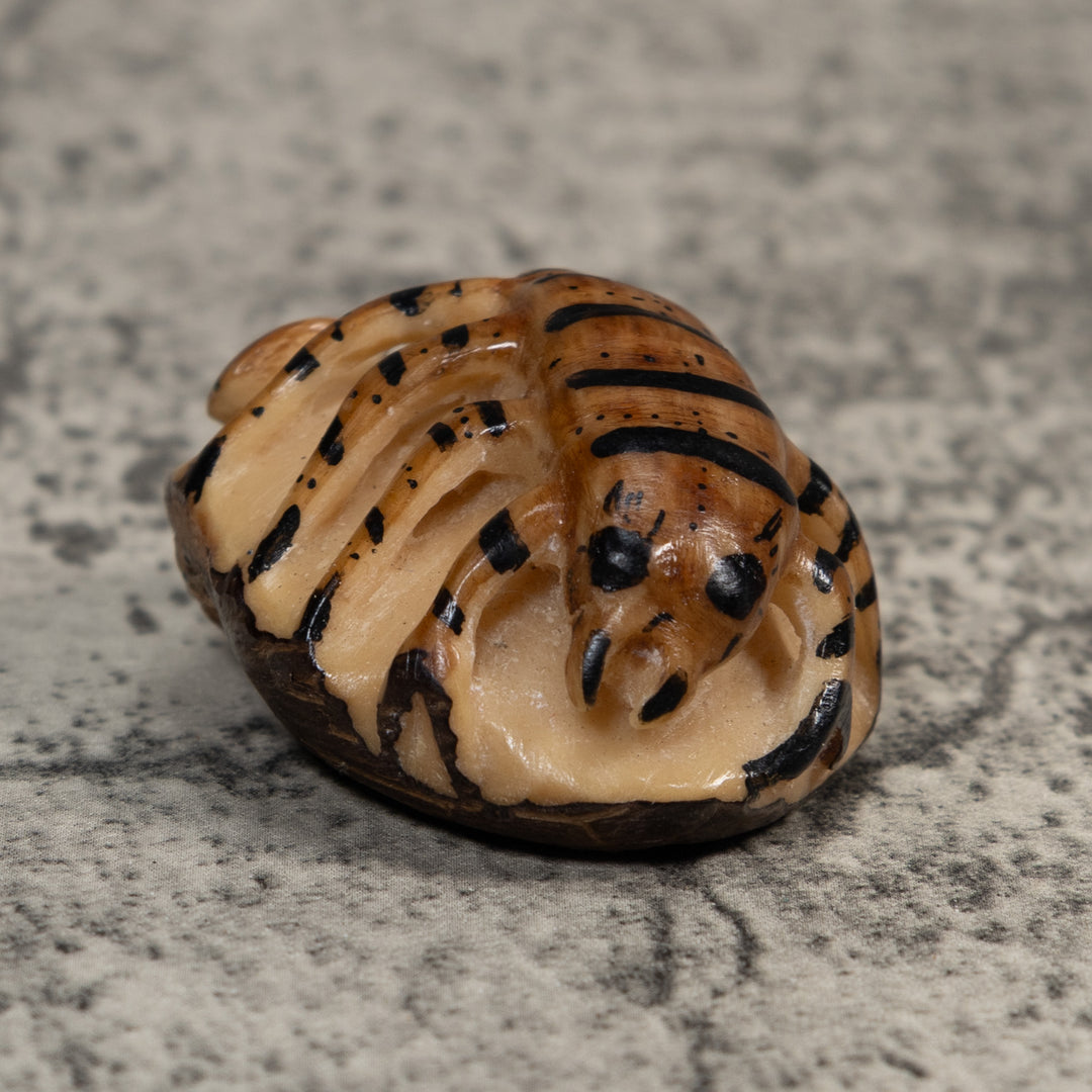 Vintage Brown And Black Insect Tagua Carving