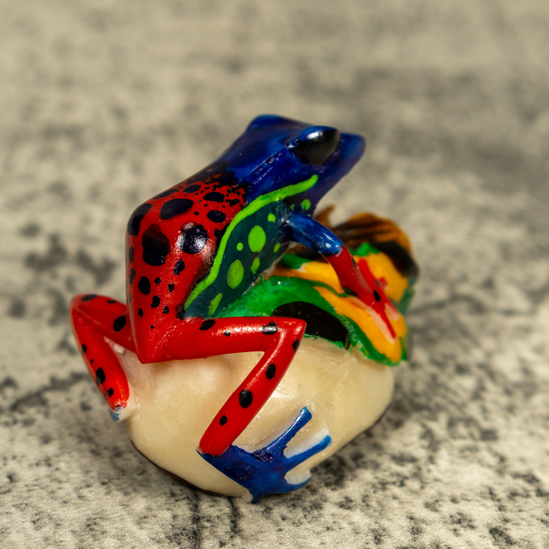 Red Blue And Green Poison Dart Frog Tagua Carving