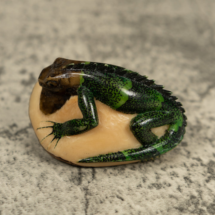 Dark Green Iguana Lizard Tagua Carving