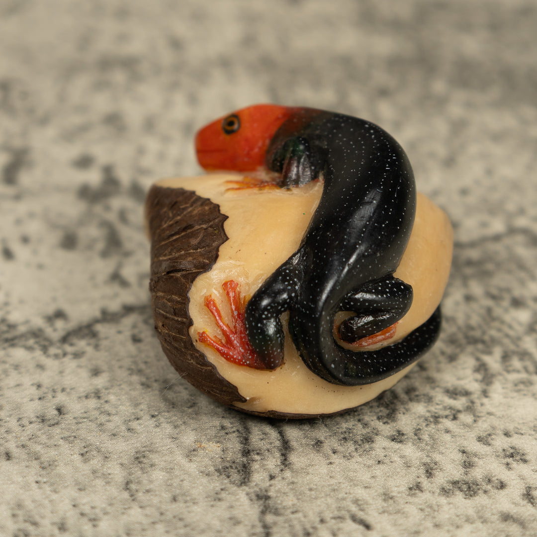 Redhead Black Gecko Lizard Tagua Carving