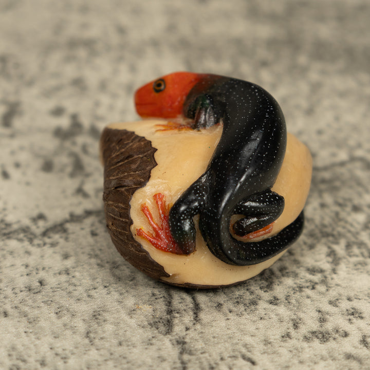 Redhead Black Gecko Lizard Tagua Carving