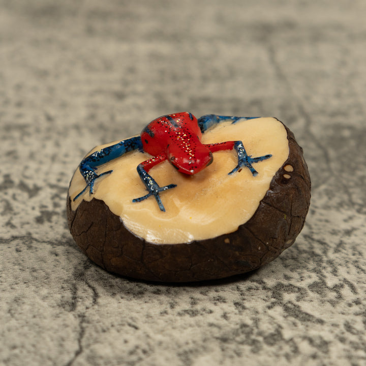 Poison Dart Frog Tagua Carving