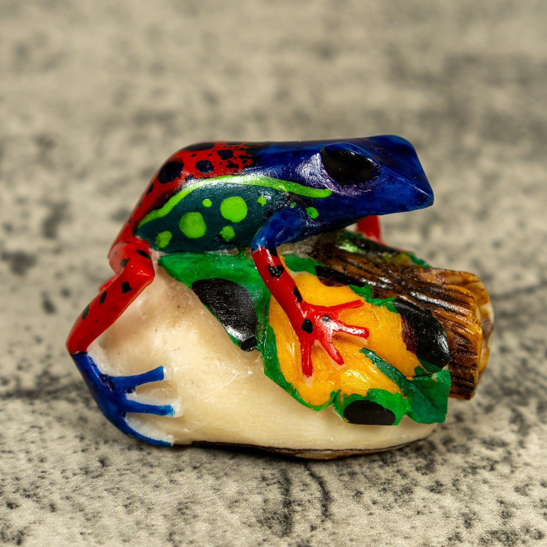 Red Blue And Green Poison Dart Frog Tagua Carving