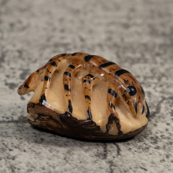 Vintage Brown And Black Insect Tagua Carving