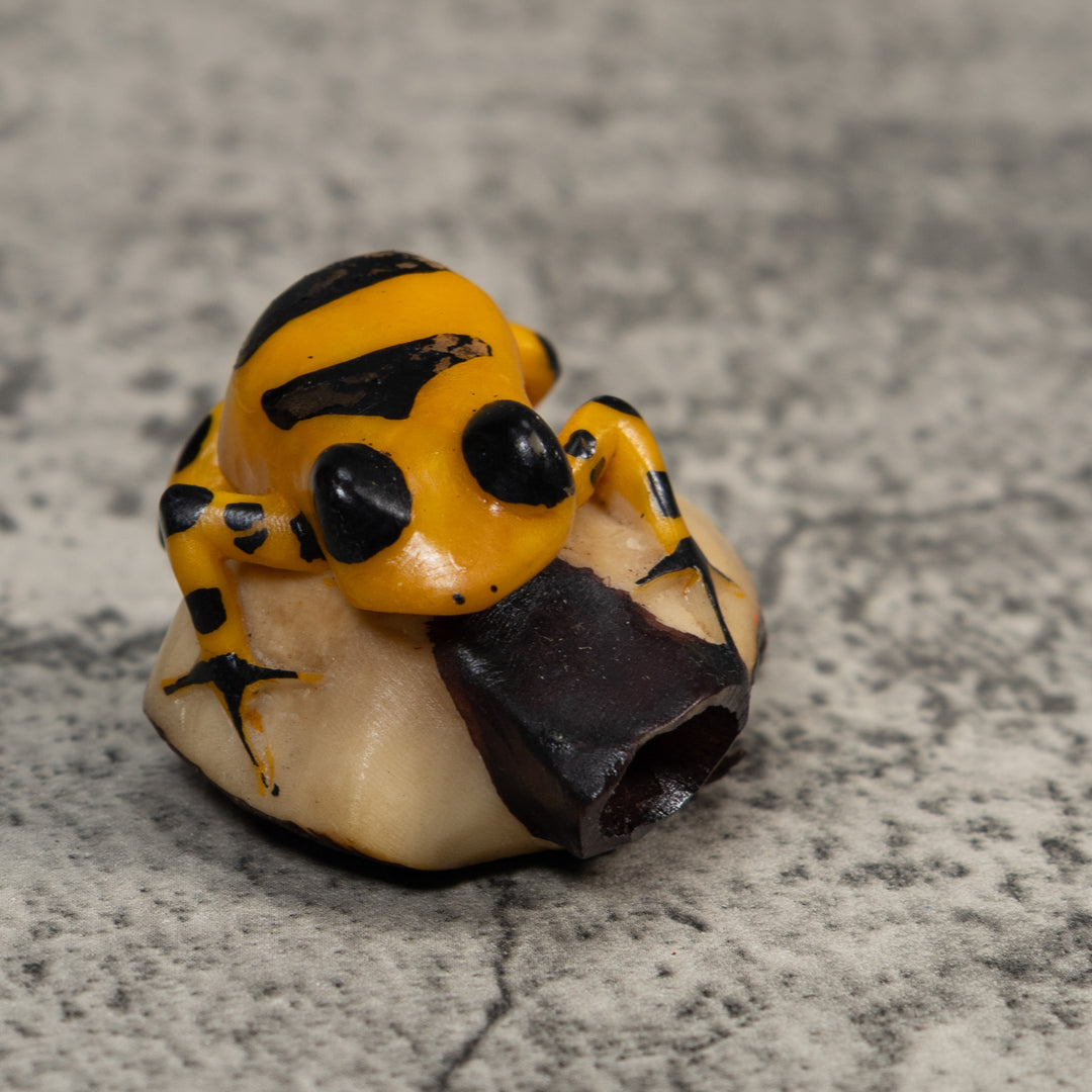 Gold And Black Poison Dart Frog Tagua Carving