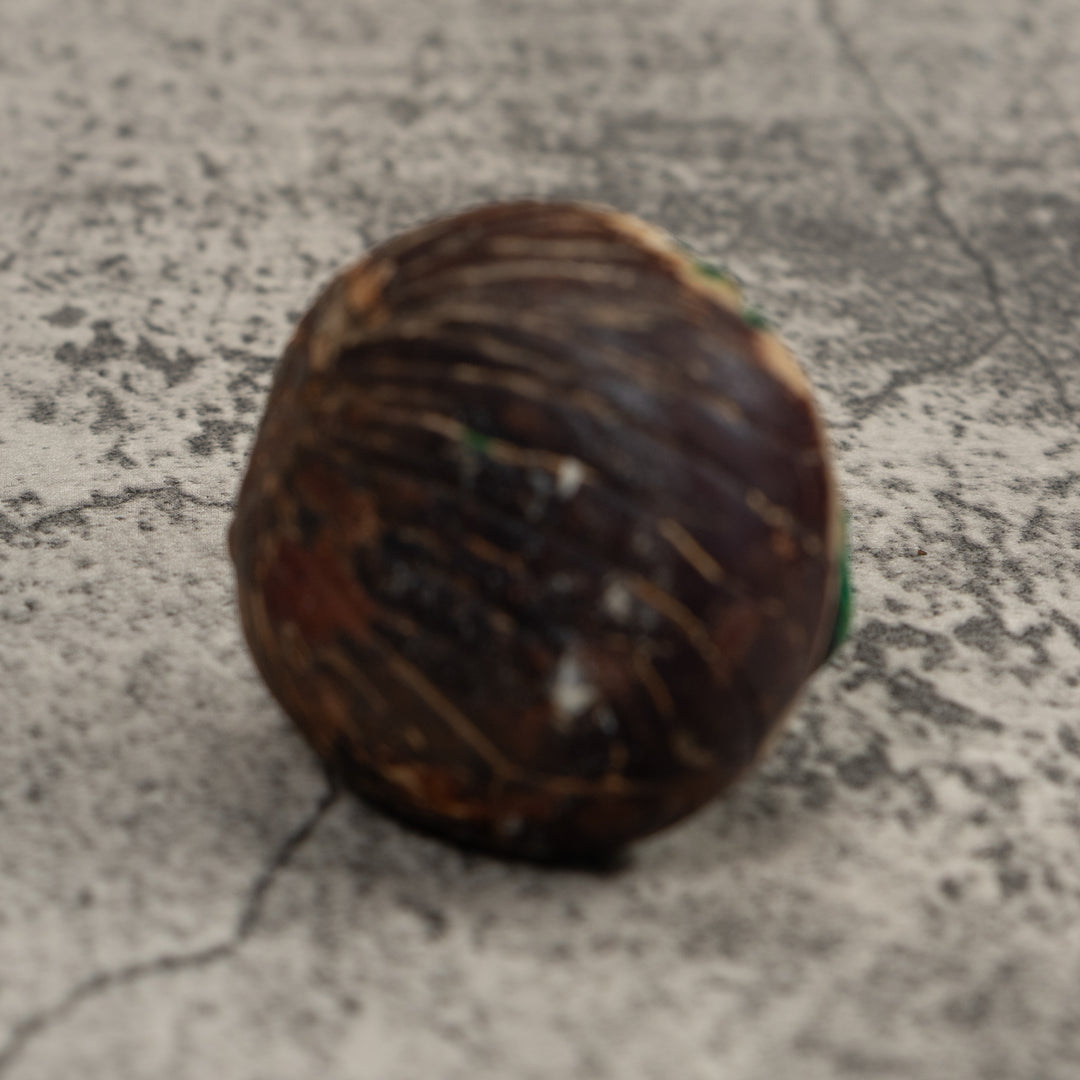 Vintage Green And Black Poison Dart Frog Tagua Carving