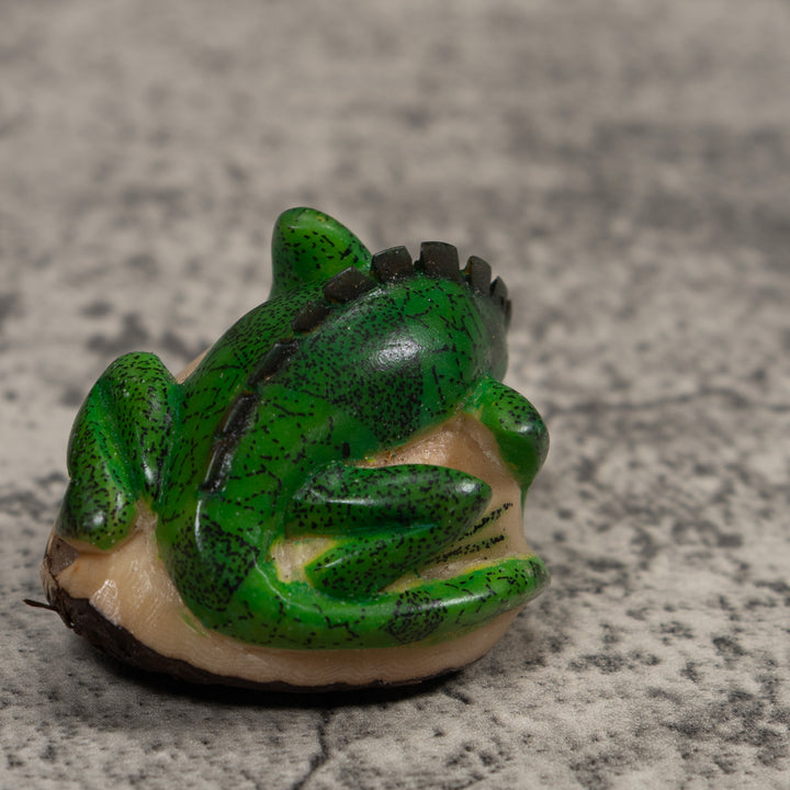 Iguana Lizard Reptile Tagua Carving