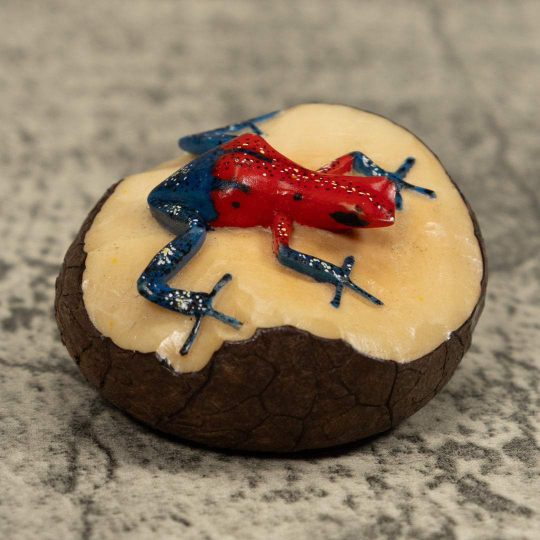 Poison Dart Frog Tagua Carving