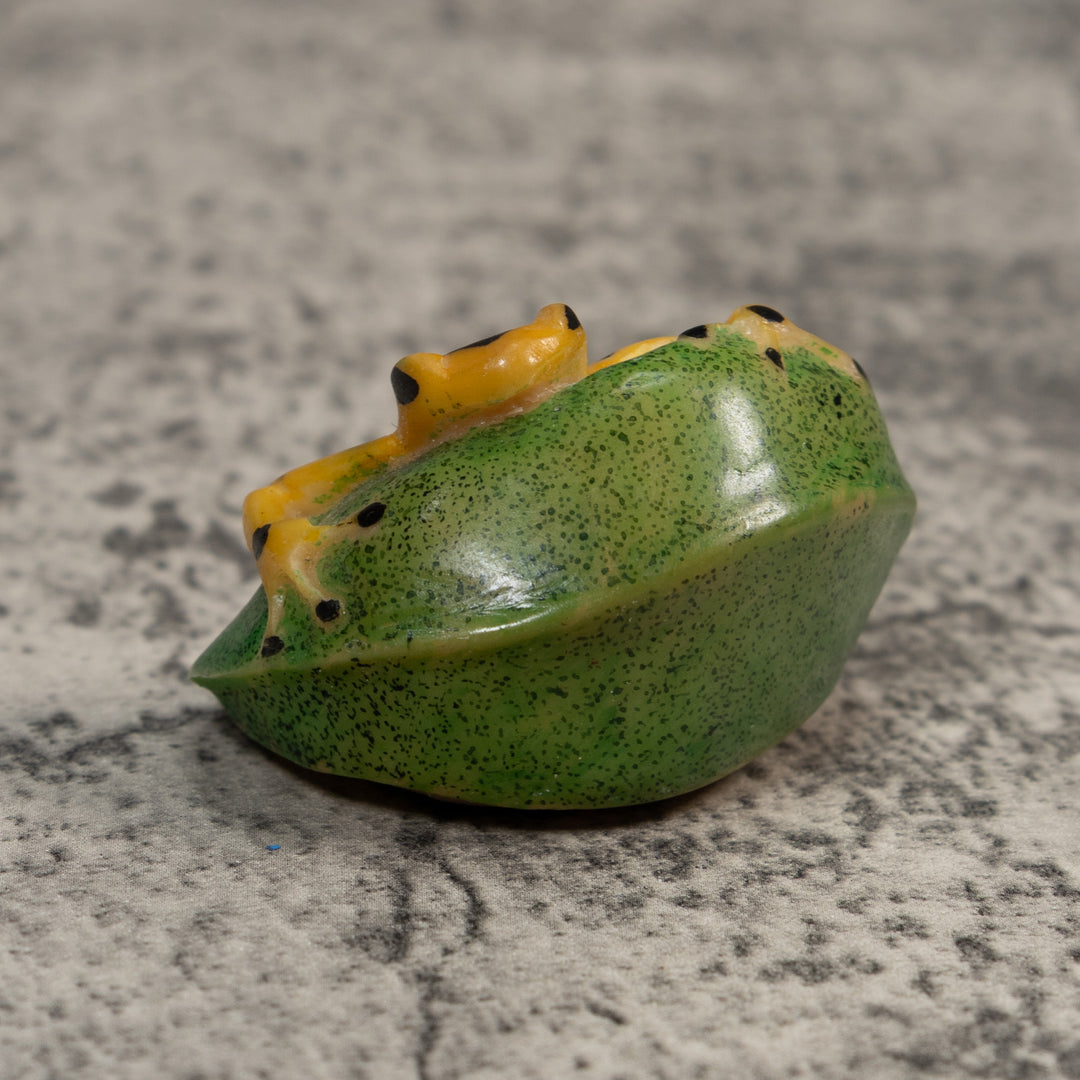 Black And Gold Poison Dart Frog Tagua Carving
