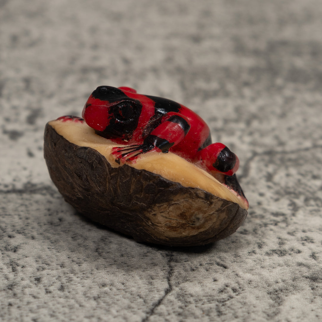 Poison Dart Frog Tagua Carving