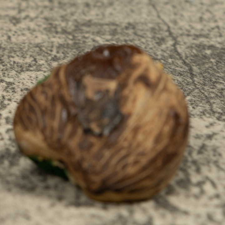 Poison Dart Frog Tagua Carving