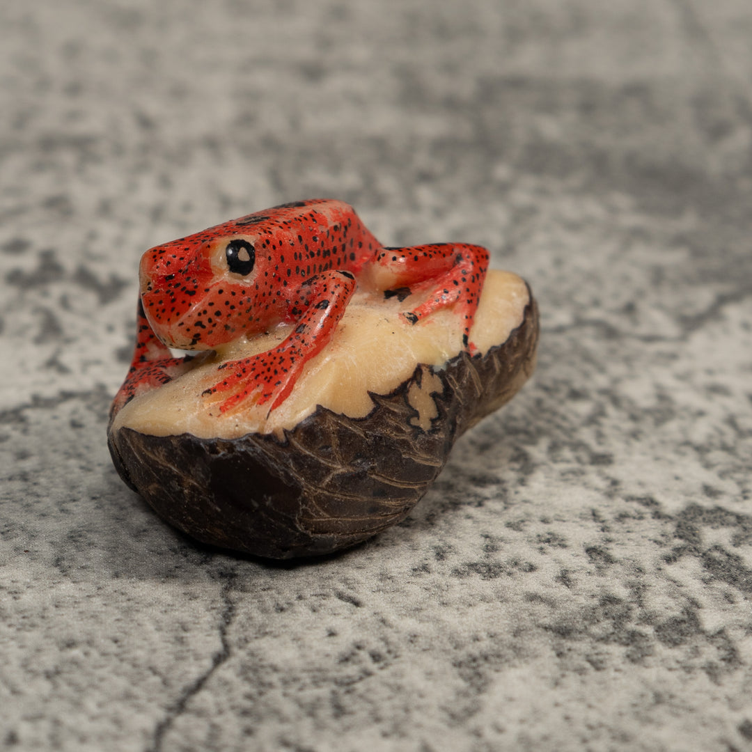 Vintage Red And Black Poison Dart Frog Tagua Carving