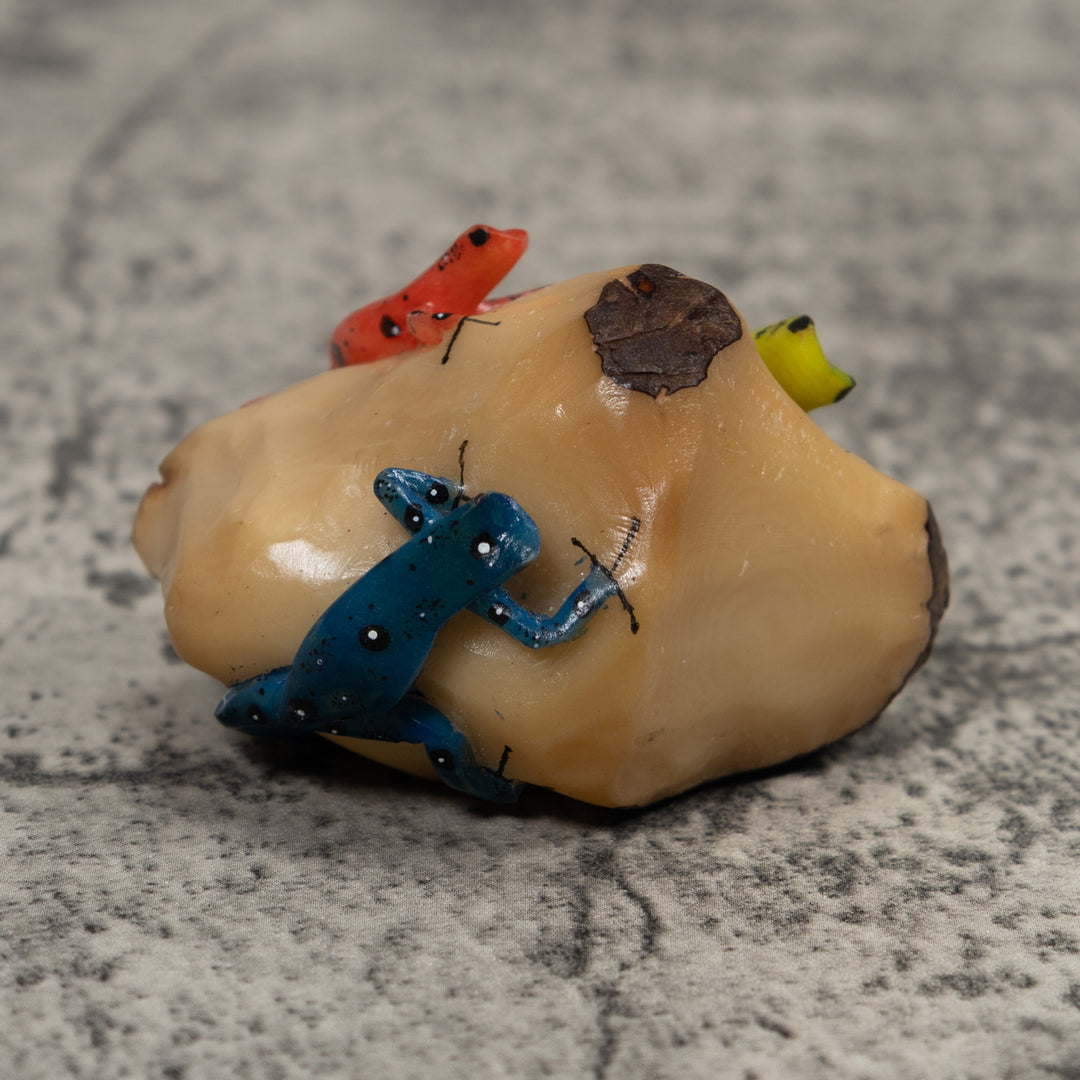 3 Poison Dart Frog Tagua Carving