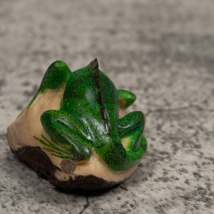 Iguana Lizard Reptile Tagua Carving