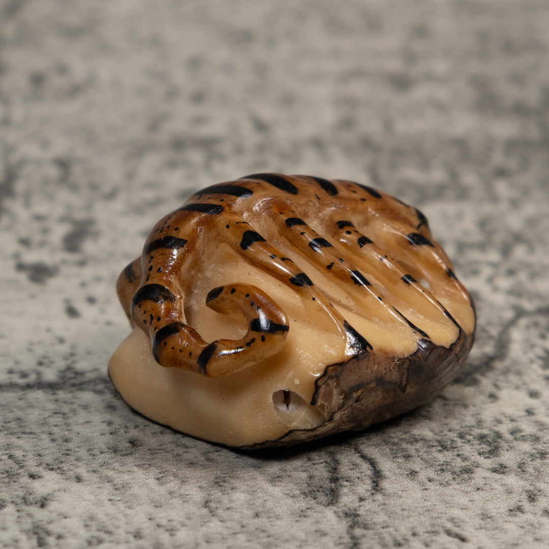 Vintage Brown And Black Insect Tagua Carving