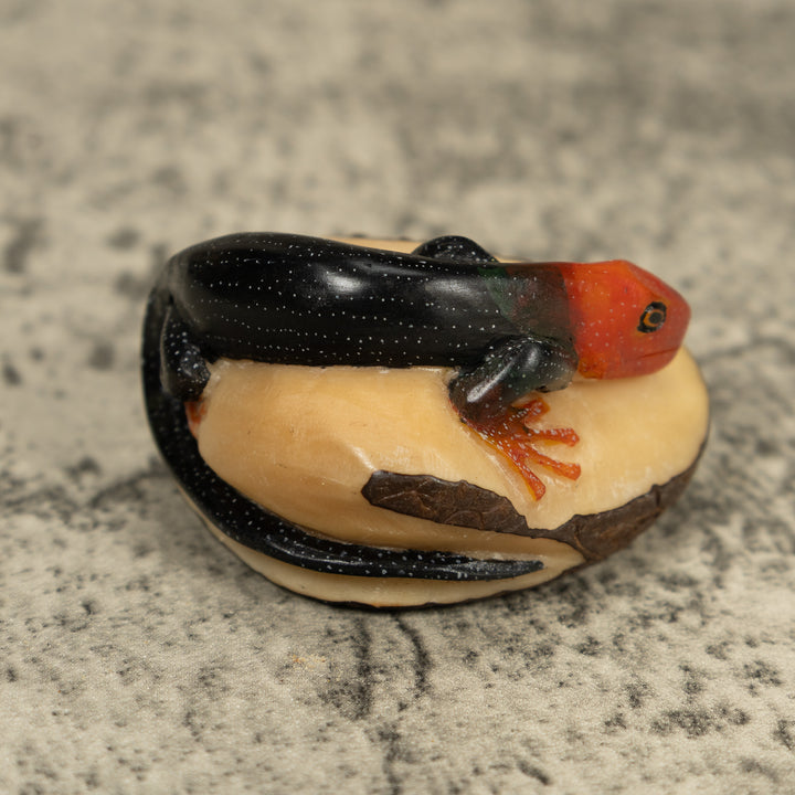 Redhead Black Gecko Lizard Tagua Carving